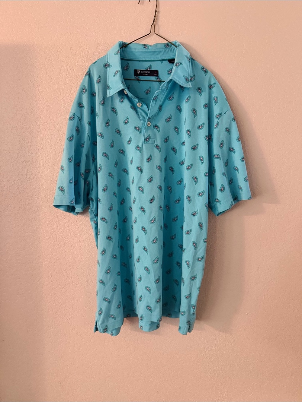 Daniel Cremieux Aqua Blue Paisley Polo